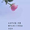 白海丽