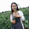 花儿