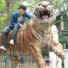 土豆