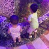 李魏武