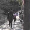 乐...