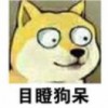 ᶘ ᵒᴥᵒᶅ
