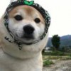 璐璐同学