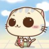 GIS_ZFF