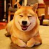 一枚