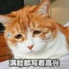 如梦之梦