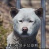 人生不如意十之八九