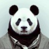 史劲霖