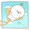 Teddy_851