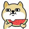 勇敢的小饼