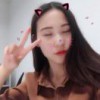爱灰的小回猪猪
