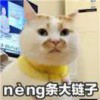 雄