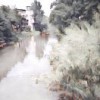 高原行者