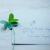 little_fool