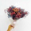 春暖花开