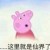 橙弦初夏