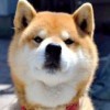 m伟建