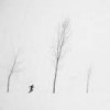 Len Lam