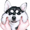 moshi_09