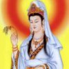 我不爱财