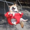 未忺