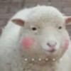 ເ