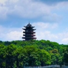琪强123