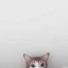 Olivesingsong
