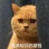 郑华