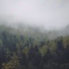 马马骁