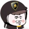 茶茶大人