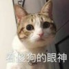 小女巫