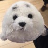 陈小新