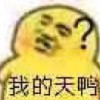 终年不遇
