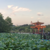 吴纪明