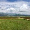 cedarf