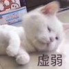 曹雲清
