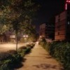 韦大宝