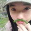大麦茶