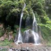 高洪刚