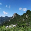 伊甸园丁
