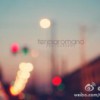 阿达阿大