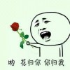 lzp橘子