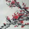 唐芦设计