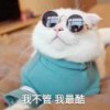 侯喵喵