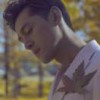 时光恰如年