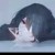 等雨