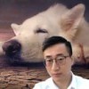 冯小磊
