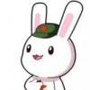 蔡俊坤