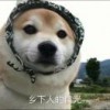 小机智(๑╹∀╹๑)